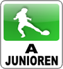 A-Junioren des 1. FC 08 Haßloch Vierter in derLandesliga